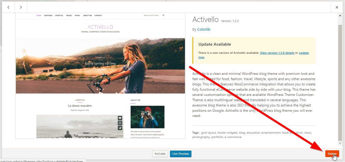 Delete old WP themes